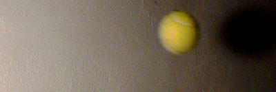 tennisball